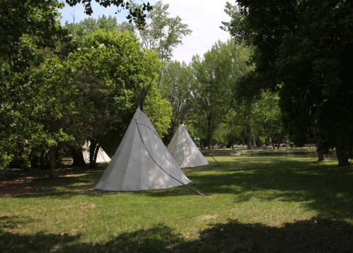 Two white teepees stand in a grassy area surrounded by trees under a clear sky.