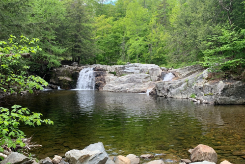 A serene landscape featuring a small waterfall cascading into a calm pool, surrounded by lush green trees and rocks.