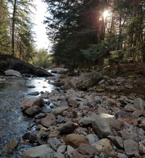 A serene riverbank scene with smooth stones, flowing water, and sunlight filtering through trees.