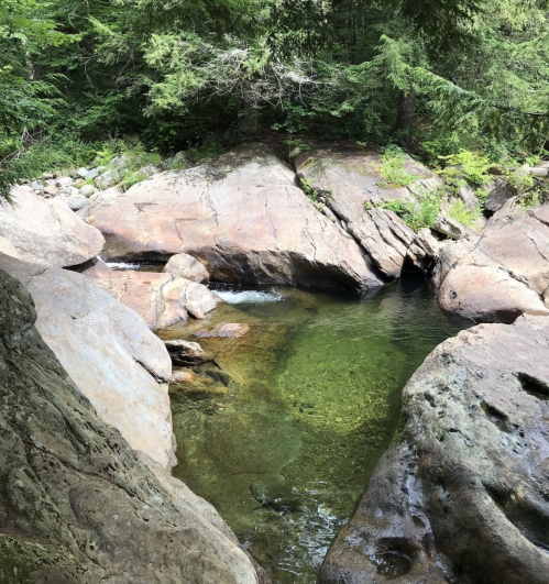 A serene natural pool surrounded by large rocks and lush greenery in a forested area.