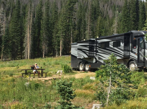 A camper parked in a forested area with a person sitting at a picnic table nearby, surrounded by greenery.