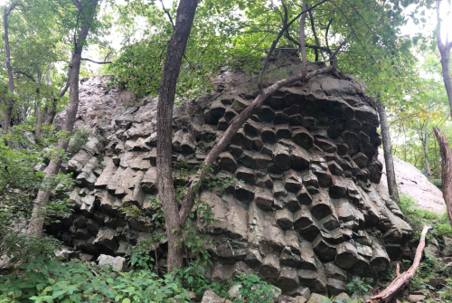 A rocky outcrop with hexagonal formations, surrounded by lush green trees and foliage.