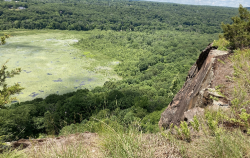 A scenic view from a rocky cliff overlooking a lush green forest and a tranquil pond below.
