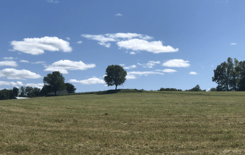 A grassy field under a blue sky with fluffy clouds, featuring a few trees and a distant barn.