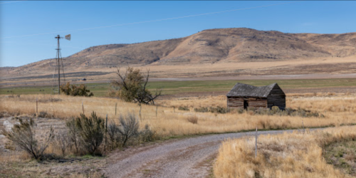 A rustic wooden cabin beside a dirt road, with a windmill and rolling hills in the background under a clear blue sky.