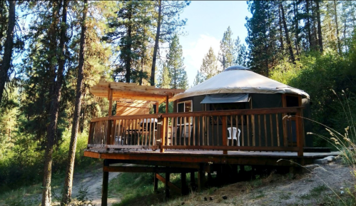 A cozy yurt on a wooden deck surrounded by tall trees and greenery in a serene outdoor setting.