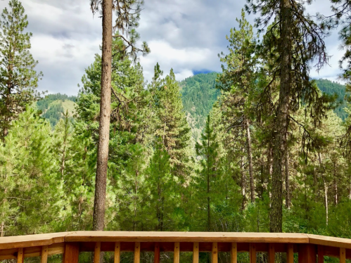 A scenic view of a lush green forest with tall trees and mountains in the background under a cloudy sky.