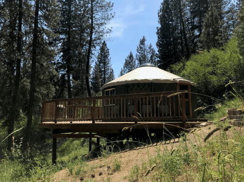 A yurt on a wooden deck surrounded by tall trees and greenery under a clear blue sky.