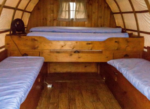 Cozy wooden interior of a small cabin with two beds and a central drawer, featuring blue bedding and a fan.