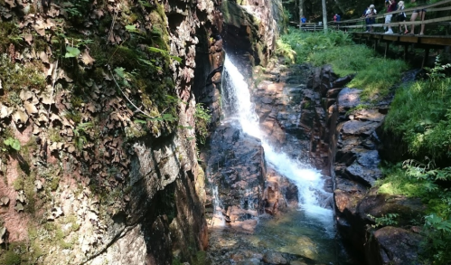 A small waterfall cascades over rocky terrain, surrounded by lush greenery and forested trails.