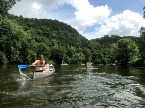 Two canoes paddle down a serene river surrounded by lush green trees and a blue sky with fluffy clouds.