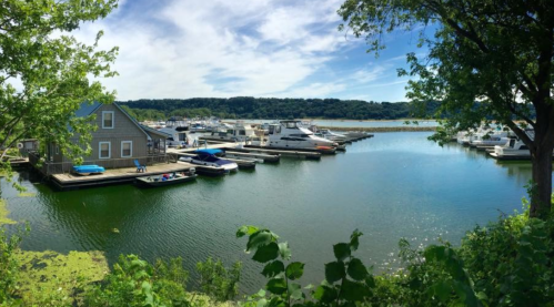 A serene marina with boats docked, surrounded by lush greenery and calm waters under a clear blue sky.