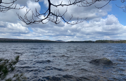 A serene lake scene with rippling water, surrounded by trees and a cloudy sky in the background.