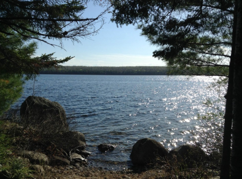 A serene lakeside view with trees framing the water, creating a peaceful natural scene.
