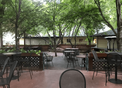 A serene outdoor dining area with empty tables surrounded by trees and greenery.