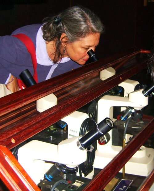 A woman peers through a microscope, examining samples in a wooden display case with multiple microscopes.