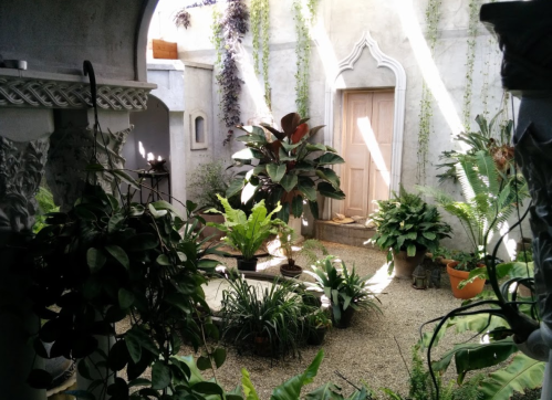 A serene indoor garden with lush plants, a stone pathway, and a wooden door, surrounded by soft natural light.