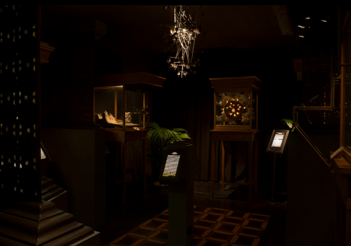 A dimly lit exhibition space featuring display cases, a chandelier, and informational panels.