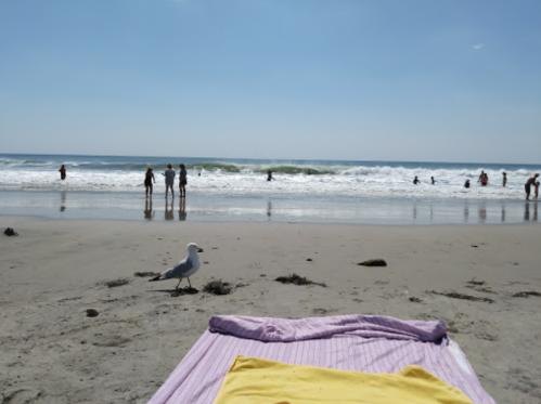 A beach scene with people playing in the waves, a seagull on the sand, and a towel laid out in the foreground.