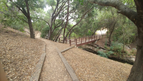 A wooden bridge spans a small creek, surrounded by trees and a dirt path covered in leaves.