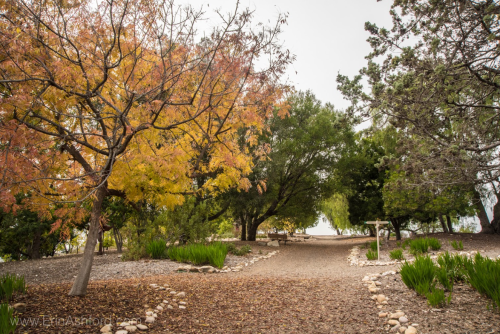 A winding path through a park with autumn trees and greenery, bordered by stones and leading to a signpost.