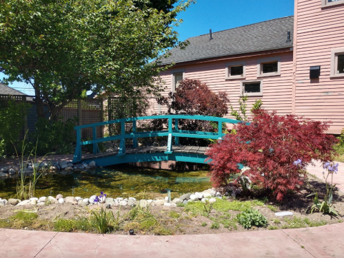 A serene garden scene featuring a turquoise bridge over a pond, surrounded by colorful plants and a pink house in the background.