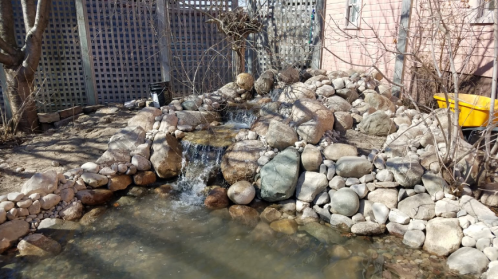 A serene garden pond with a small waterfall, surrounded by rocks and bare trees, set against a wooden fence.