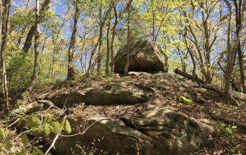 A large boulder sits atop a rocky outcrop, surrounded by lush green trees and a clear blue sky.