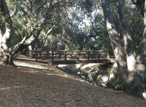 A wooden bridge crosses a small creek, surrounded by trees and fallen leaves in a serene forest setting.
