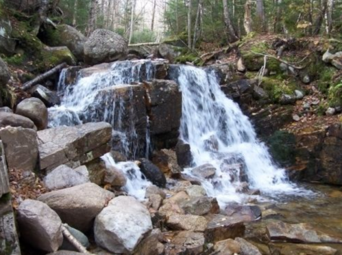 A serene waterfall cascading over rocks, surrounded by lush greenery and trees in a tranquil forest setting.