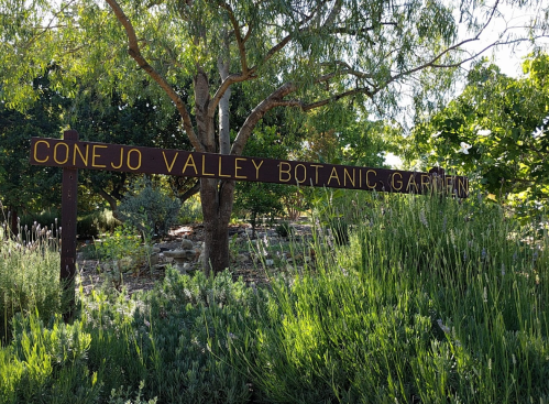 Sign for Conejo Valley Botanic Garden surrounded by greenery and plants in a sunny outdoor setting.