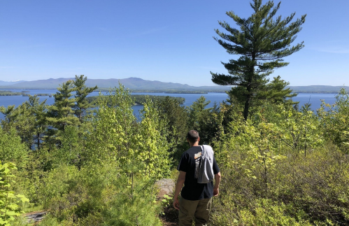 A person stands on a hillside, overlooking a lake surrounded by trees and mountains under a clear blue sky.