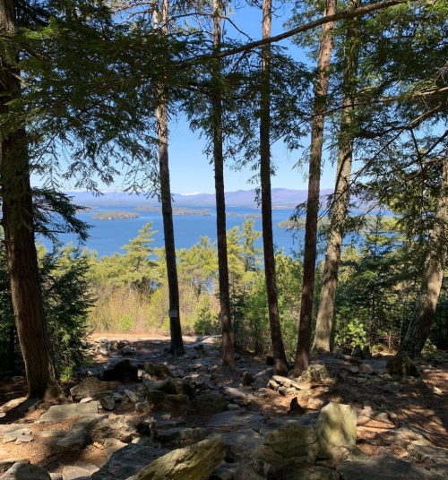 A serene view of a lake surrounded by trees and mountains under a clear blue sky.