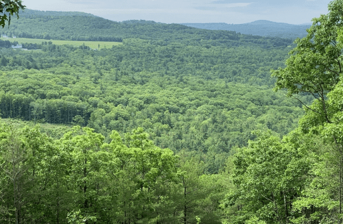 Lush green forested landscape with rolling hills under a cloudy sky.