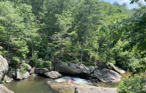 A serene river flows through a lush green forest, with rocks and trees lining the banks.