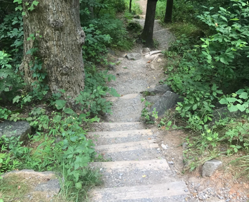 A narrow, winding stone path leads down through lush greenery and trees.