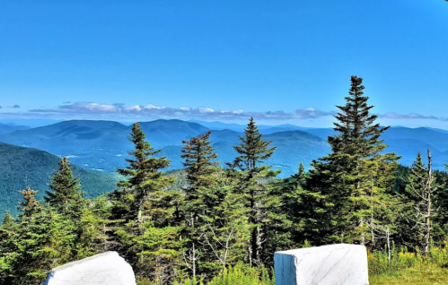 A scenic view of mountains and trees under a clear blue sky, with two white rocks in the foreground.