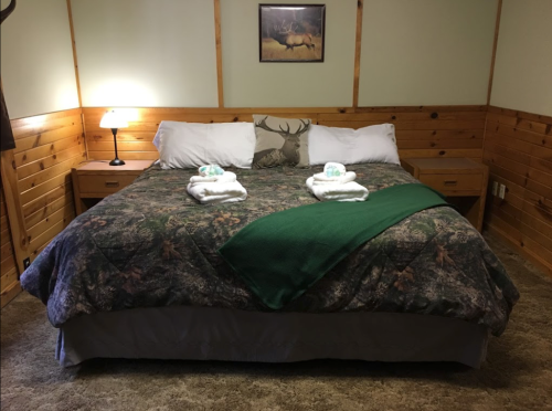 Cozy bedroom with a large bed, forest-themed bedding, and a lamp, featuring wooden walls and a nature-themed picture.
