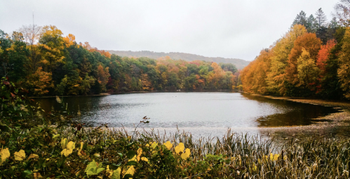 A serene lake surrounded by vibrant autumn foliage and misty mountains in the background.