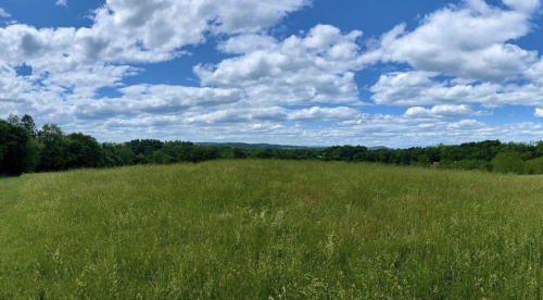 A panoramic view of a lush green field under a bright blue sky filled with fluffy white clouds.