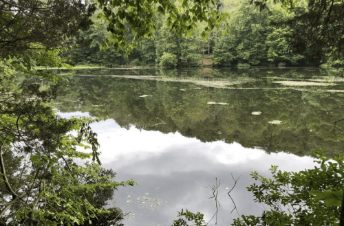 A serene lake surrounded by lush greenery, reflecting trees and clouds on its calm surface.