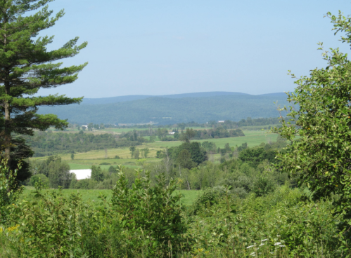 A scenic view of rolling green hills and fields under a clear blue sky, framed by trees in the foreground.