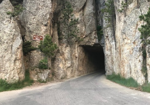 A narrow road passes through a rocky tunnel with a sign reading "Needles Eye" on the left. Green grass and trees are nearby.