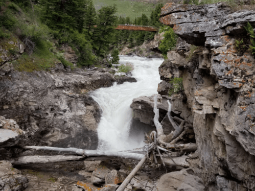 A rushing river cascades over rocky cliffs, surrounded by lush greenery and fallen trees.