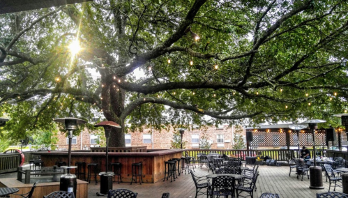 A cozy outdoor patio with a large tree, string lights, and seating arrangements under a warm, inviting atmosphere.