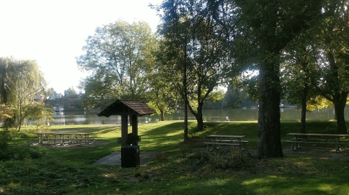 A serene park scene with picnic tables, trees, and a calm lake in the background under a clear sky.