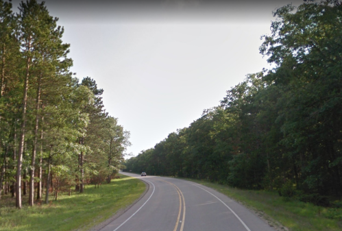 A winding road surrounded by dense trees on both sides, with a vehicle in the distance.