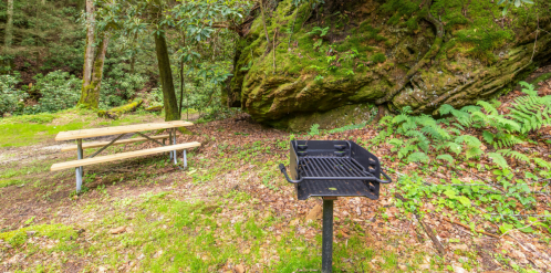 A picnic area with a grill and wooden table surrounded by lush greenery and large rocks in a forest setting.
