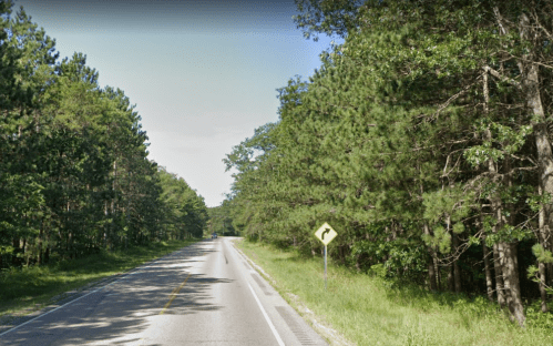 A winding road surrounded by tall trees and greenery, with a right turn warning sign visible.