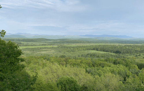 A panoramic view of lush green hills and valleys under a cloudy sky, with distant mountains on the horizon.